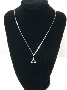 Colgante con cadena de plata