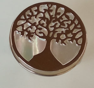 Anillo de plata
