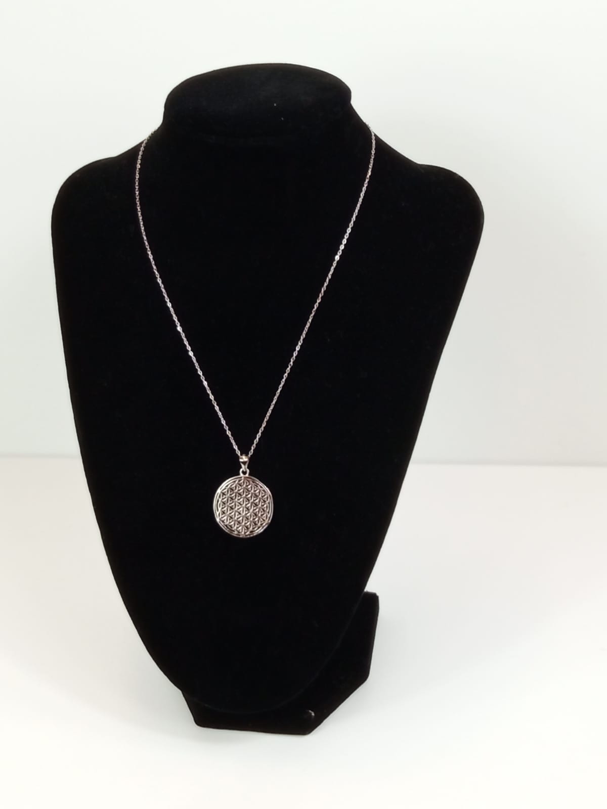 Cadena de plata con colgante de plata